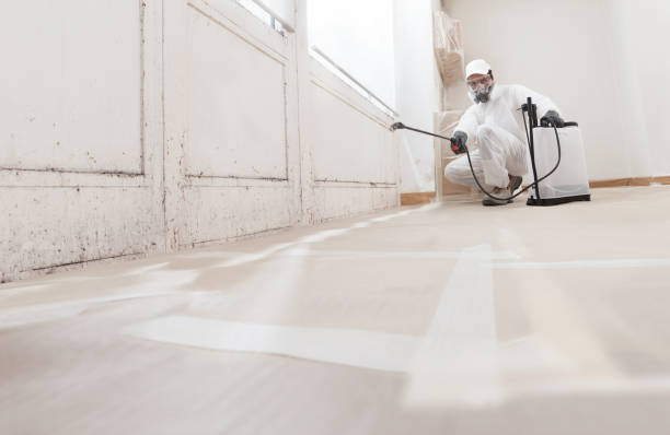 24/7 Emergency Basement Mold Remediation experts in Glen Rock, NJ